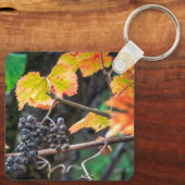 熟したイザベラ・ブドウ キーホルダー (裏面)