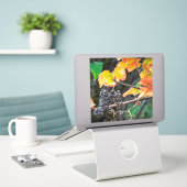 熟したイザベラ・ブドウ シール (デスク上のノートパソコン)