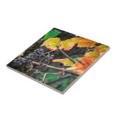 熟したイザベラ・ブドウ タイル (側面)