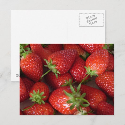 熟したイチゴ ポストカード (正面/裏面)