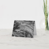 熟したオオムギの穂 カード (正面)