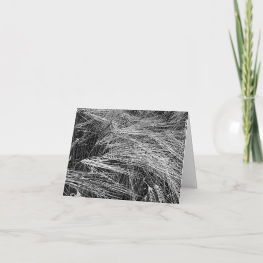 熟したオオムギの穂 カード (正面)