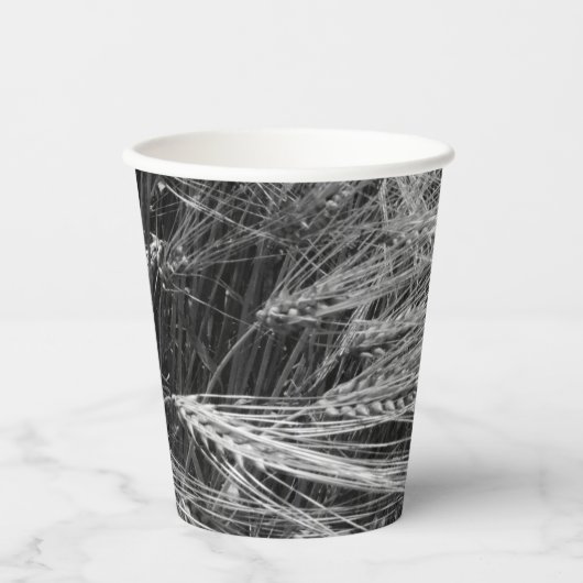 熟したオオムギの穂 紙コップ (正面)