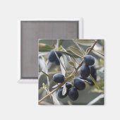 熟したオリーブの上オリーブツリーブランチ マグネット (正面/裏面)