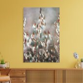 熟したオート麦(Avena Sativa)クローズアップ。ボランド・セレス キャンバスプリント (インサイチュ (リビング))