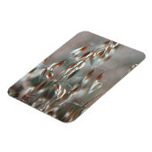 熟したオート麦(Avena Sativa)クローズアップ。ボランド・セレス マグネット (左側)