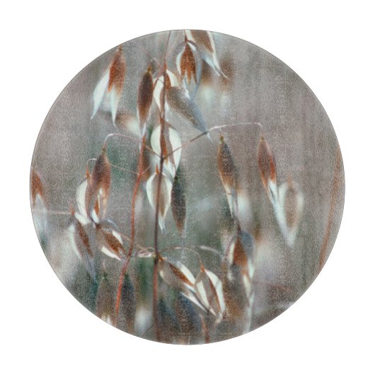 熟したオート（アベナ·サチバ）が近くに来る。ボラン·セレス カッティングボード (正面)