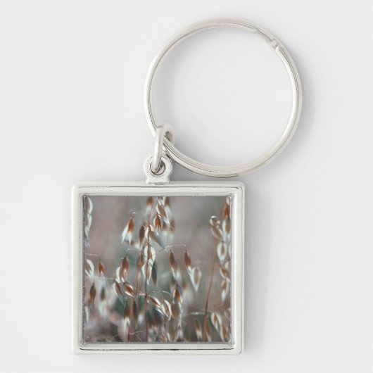 熟したオート（アベナ·サチバ）が近くに来る。ボラン·セレス キーホルダー (正面)