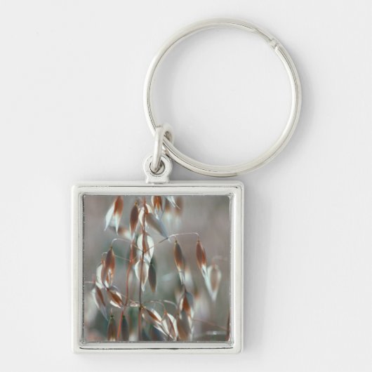 熟したオート（アベナ·サチバ）が近くに来る。ボラン·セレス キーホルダー (正面)