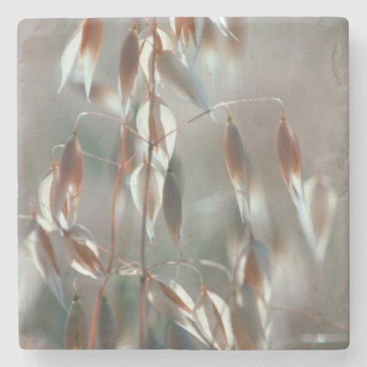 熟したオート（アベナ·サチバ）が近くに来る。ボラン·セレス ストーンコースター (正面)