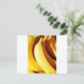 熟したバナナの鮮やかな新鮮な黄色の束 ポストカード (スタンド正面)