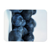 熟したフレッシュブルーベリー マグネット