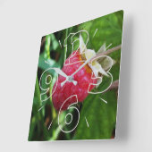 熟したラズベリー スクエア壁時計 (傾斜)