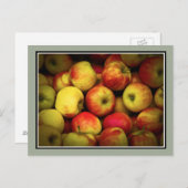 熟したリンゴの房の写真 ポストカード (正面/裏面)