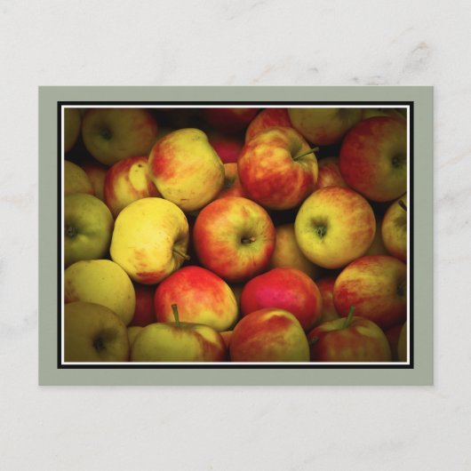 熟したリンゴの房の写真 ポストカード (正面)