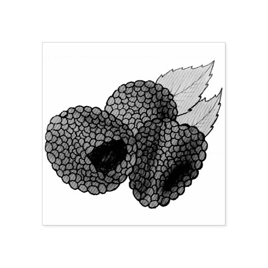 熟した新鮮な夏の赤いラズベリー果実のベリー ラバースタンプ (インプリント)