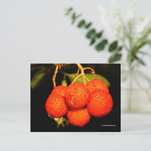熟した未開のイチゴの木の果実 ポストカード (スタンド正面)