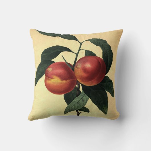 熟した桃 クッション (裏面)