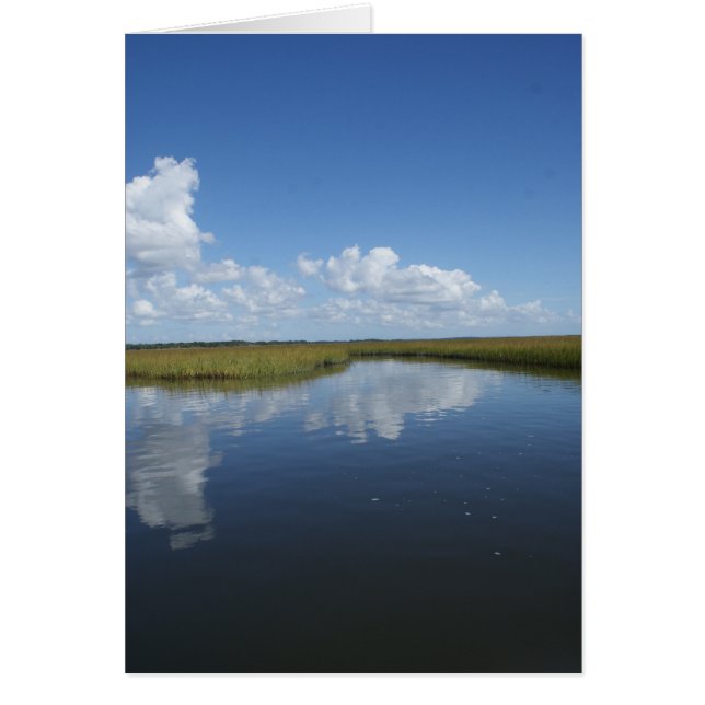 熟した沼地 (正面)