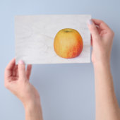 熟した独身のリンゴ チラシ (ハンドル)