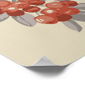 熟した赤いアロニアベリーの束 ポスター (角)