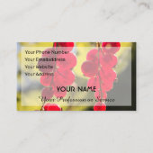 熟した赤いフルーティのカーラントアンサンブルで、農家ブシン用 名刺 (裏面)