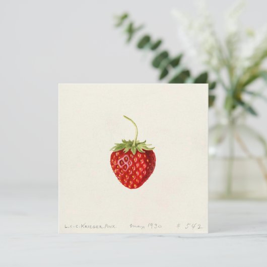 熟した赤イチゴ(Louis C.C. Krieger) カード (スタンド正面)