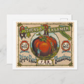 熟した赤トマトのヴィンテージ広告 ポストカード (正面/裏面)