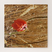 熟した麦畑の夏の花 ジグソーパズル (横)