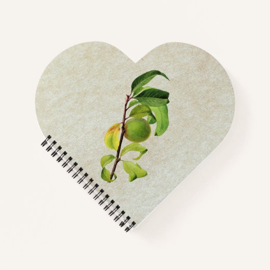 熟していない桃の組パーソナライズされた成 ノートブック (正面)