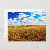 熟し転がた小麦の丘 ポストカード (正面/裏面)