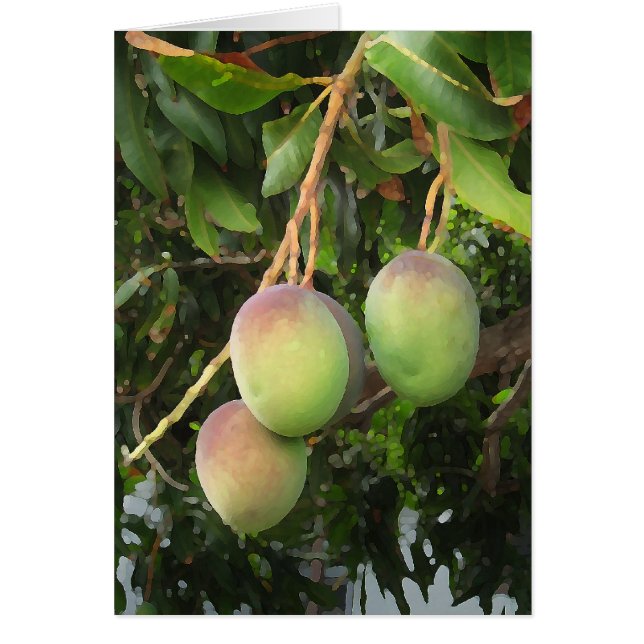 熟すこと (正面)