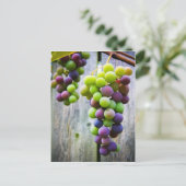 熟成ぶどう ポストカード (スタンド正面)