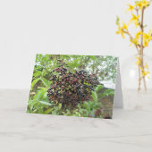 熟成エルダーベリーのグリーティングカード カード (黄色い花)