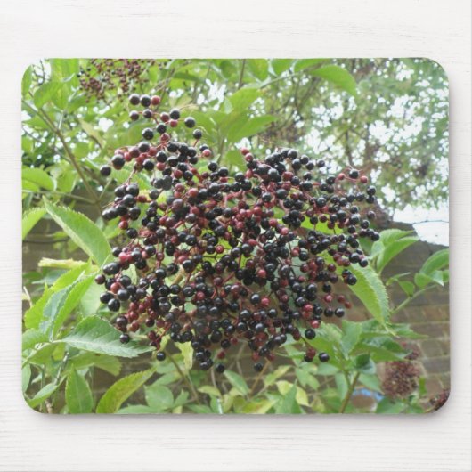 熟成エルダーベリーマウスパッド マウスパッド (正面)