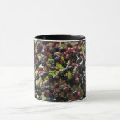 熟成エルダーベリーマグ マグカップ (中央)