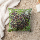 熟成エルダーベリー枕 クッション (ブランケット)