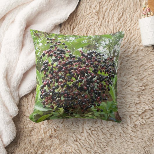 熟成エルダーベリー枕 クッション (ブランケット)