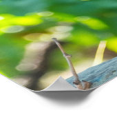 熟成ブドウのクローズアップ ポスター (角)