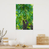 熟成ブドウのクローズアップ ポスター (キッチン)