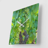 熟成中のブドウの閉鎖 スクエア壁時計 (傾斜)