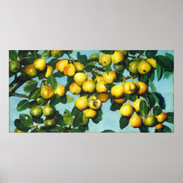 熟成梨 – ジョセフ・デッカーファインアートポスター ポスター