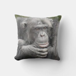 熟考チンパンジー クッション
