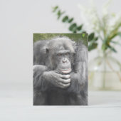 熟考チンパンジー シーズンポストカード (スタンド正面)