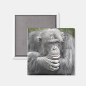 熟考チンパンジー マグネット (正面/裏面)