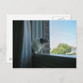 熟考ネズミ ポストカード (正面/裏面)