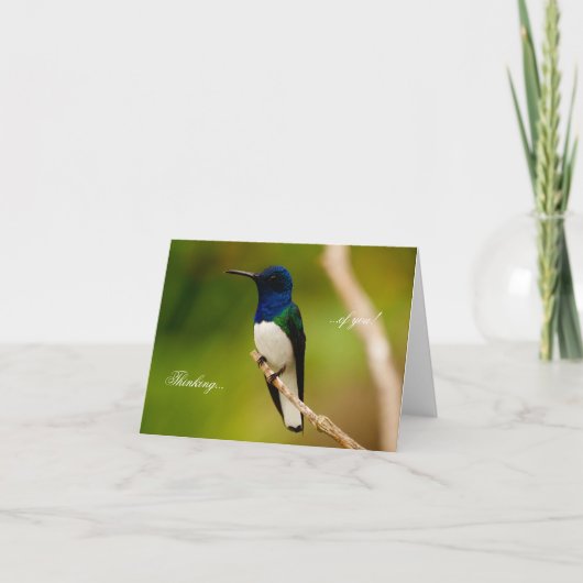 熟考ノートカードのポートレート カード (正面)