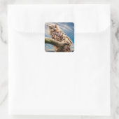 熟考フクロウ スクエアシール (バッグ)