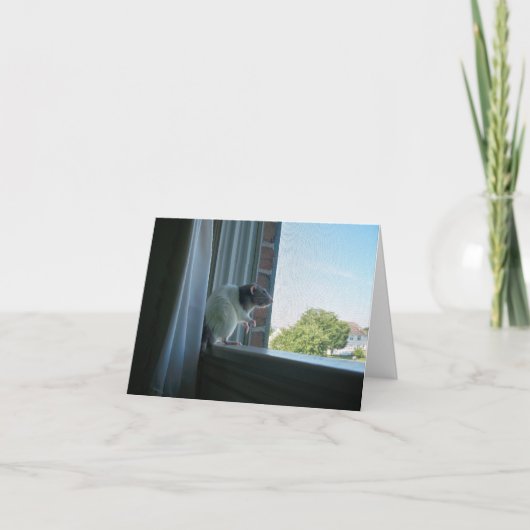 熟考ラット"Wish You Here"ノートカード カード (正面)