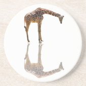 熟視 コースター (正面)